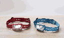 17650101421_4008496021529_VARTA_Outdoor_Sports_H20_Pro_3AAA_with_Batt__3.png