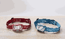 17650101421_4008496021529_VARTA_Outdoor_Sports_H20_Pro_3AAA_with_Batt__2.png